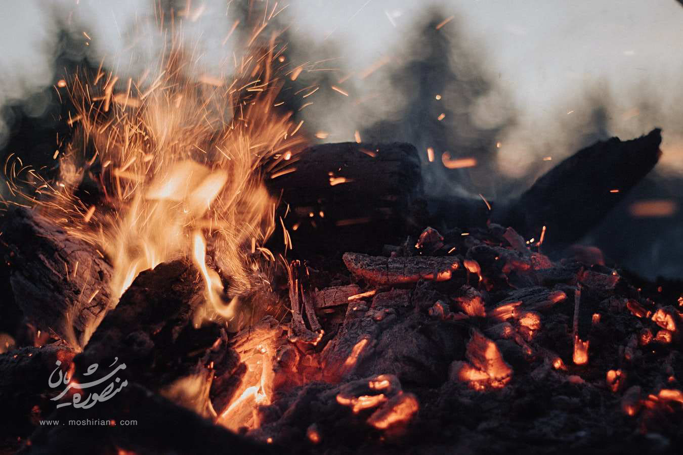 هیجانات مثبت